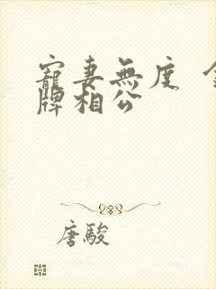 宠妻无度  金牌相公