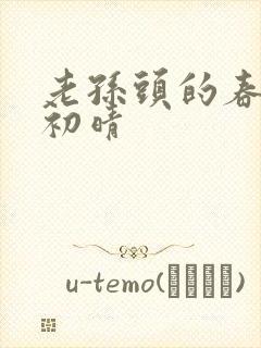 老孙头的春天林初晴