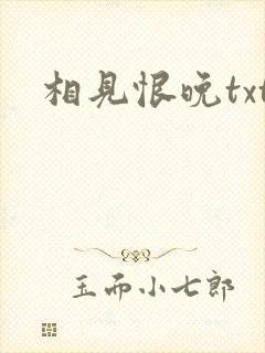 相见恨晚txt