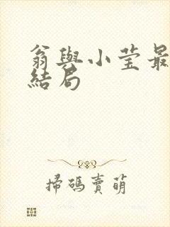 翁与小莹最新大结局