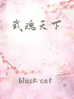 武魂天下