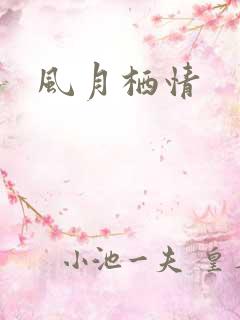 风月栖情