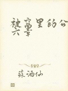 被窝里的公息十六章