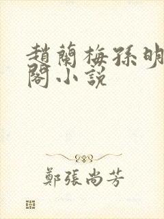 赵兰梅孙明笔趣阁小说