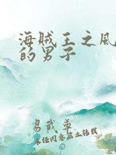 海贼王之风一样的男子