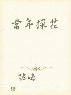 当年探花