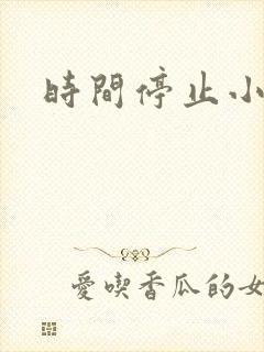 时间停止小说