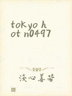 tokyo hot n0497
