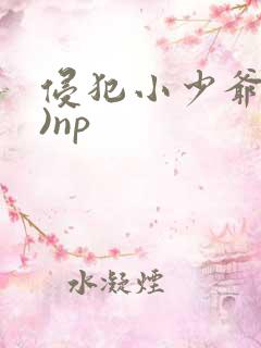 侵犯小少爷(H)np