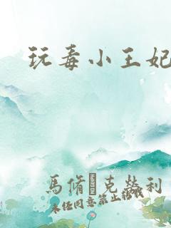 玩毒小王妃