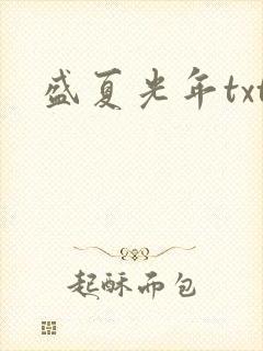 盛夏光年txt