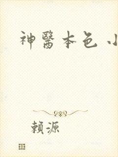 神医本色 小说