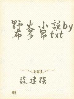 野火小说by夏布多昂txt