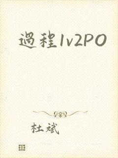 过程1v2PO