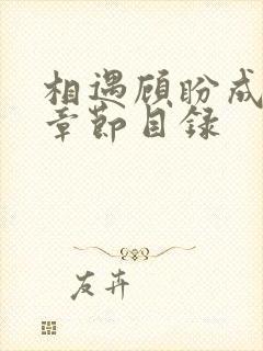 相遇顾盼成欢全章节目录