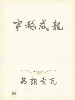 穿越成龙