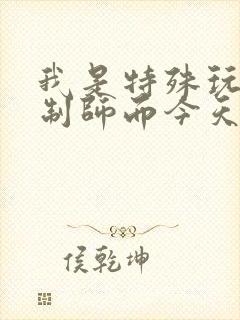 我是特殊玩具定制师而今天的客户