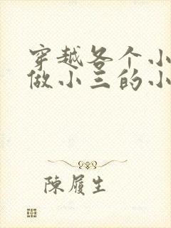 穿越各个小世界做小三的小说