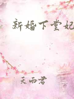 新婚下堂妃