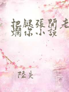 把腿张开老子臊烂你小说