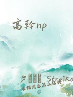 高干np