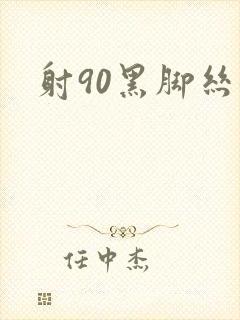 射90黑脚丝女