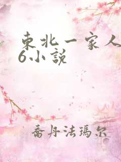 东北一家人1一6小说