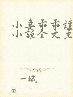 小妻乖乖让我宠小说全文免费阅读