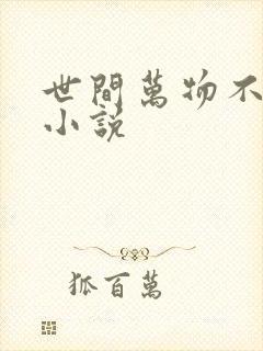 世间万物不及你小说