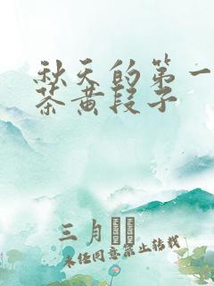 秋天的第一杯奶茶黄段子