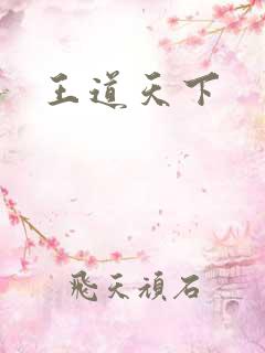 王道天下