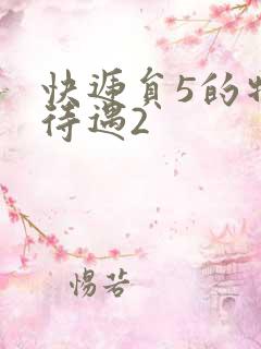 快递员5的特殊待遇2