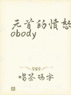 元首的愤怒之nobody