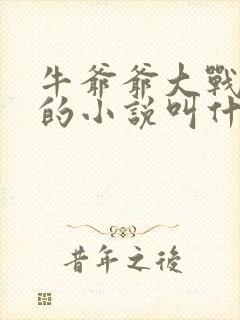 牛爷爷大战小丽的小说叫什么