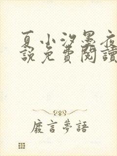 夏小汐墨夜霆小说免费阅读