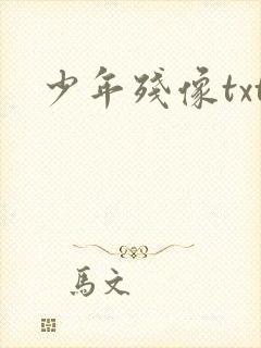 少年残像txt