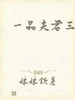 一品夫君三流妻