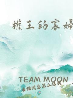 权王的寡妇糖妃