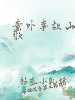 意外事故山月辞欢