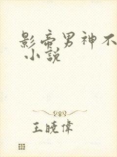 影帝男神不节制 小说