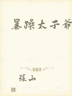 暴躁太子爷
