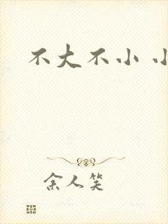 不大不小 小说