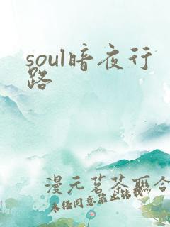 soul暗夜行路