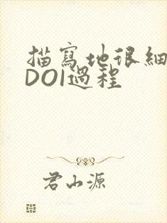 描写地很细致的DOI过程