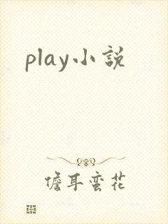 play小说