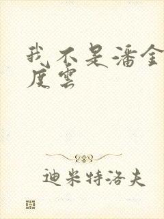 我不是潘金莲百度云