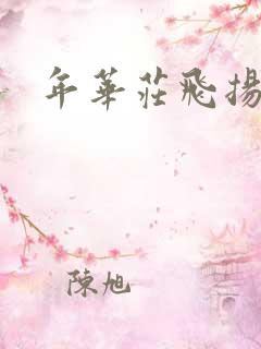 年华庄飞扬