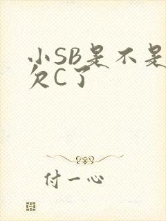 小SB是不是又欠C了