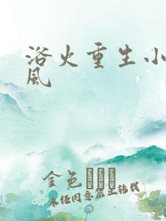 浴火重生小说陈风