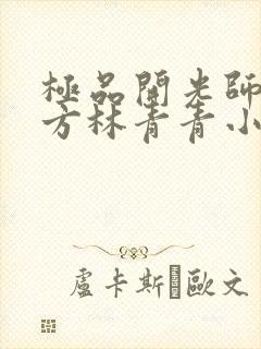 极品开光师李南方林青青小说免费阅读